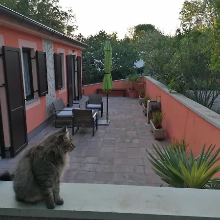 度假居 The Forest House Krk 2