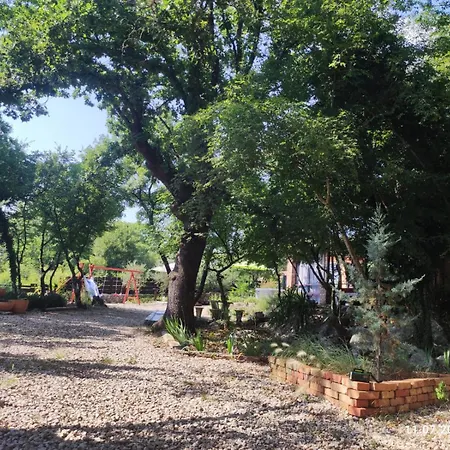 The Forest House Krk 2