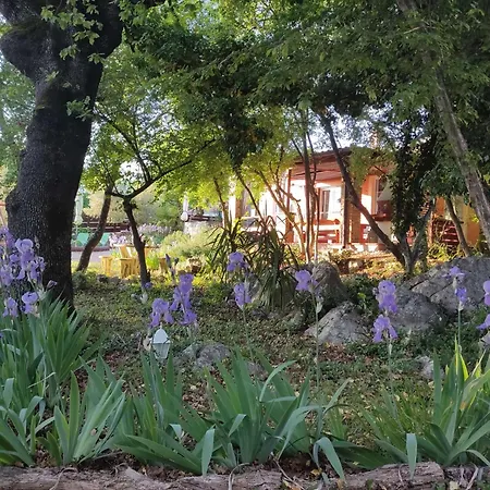 The Forest House Krk 2 * Kras