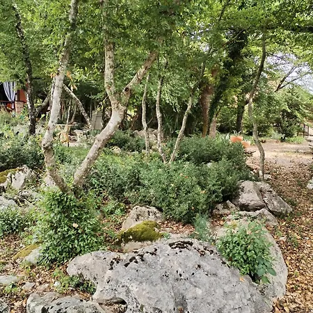 The Forest House Krk 2 Ferienhaus *